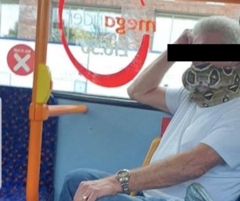 Luego de hacerse viral las imágenes, las autoridades del transporte público aseguraron que buscarán proceder legalmente en contra del individuo al poner en riesgo la vida y salud de las personas que viajaban con él. (Especial)