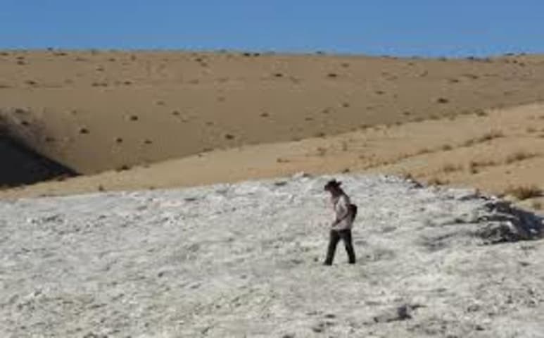 Un equipo internacional de investigadores ha descubierto que hace 120,000 años, los desiertos del norte de Arabia fueron un lago rodeado de exuberantes praderas que atraían a los animales y las personas, lo que constituye la evidencia más antigua de presencia de humanos en la zona. (ESPECIAL)