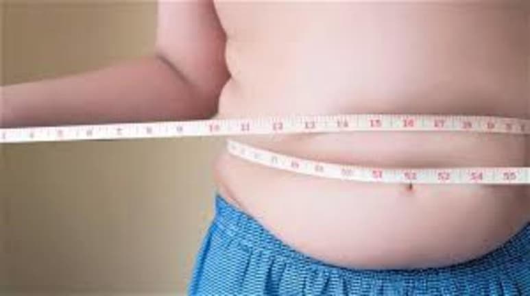 Los macrófagos, las células del sistema inmunitario encargadas de defender al organismo de las infecciones, también juegan un importante papel en el correcto funcionamiento de nuestros tejidos y la regulación de la obesidad. Ahora, un estudio ha descrito cómo tiene lugar este mecanismo metabólico. (ARCHIVO)