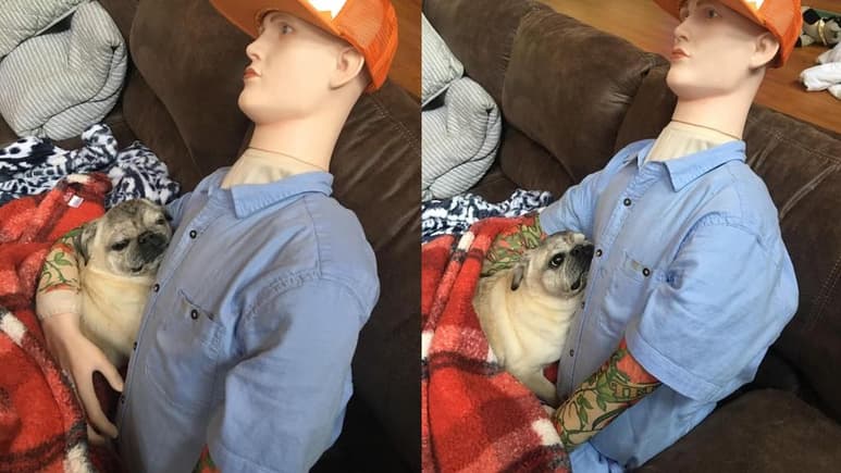 Por medio de Facebook, la historia del perro 'Shorty' se ha viralizado gracias a lo tiernas que resultan las fotos de éste con el maniquí (CAPTURA)