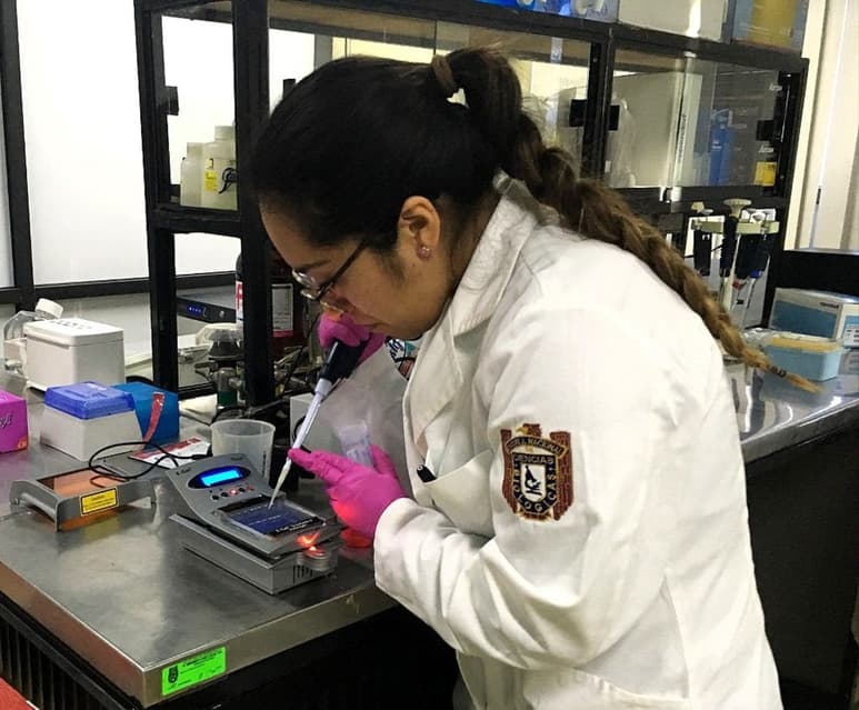 La comunidad científica de México externa su 'enorme preocupación' por el proyecto de extinción de fideicomisos que los apoyan. (EL SIGLO DE TORREÓN)