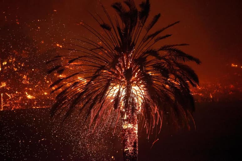 Al menos 22 incendios, alimentados por fuertes vientos, siguen forzando este lunes en California la evacuación de decenas de miles de residentes en los condados de Napa, Sonoma y Butte, una conocida región vinícola, y han provocado la muerte de otras tres personas en las últimas horas, informaron las autoridades. (EFE)