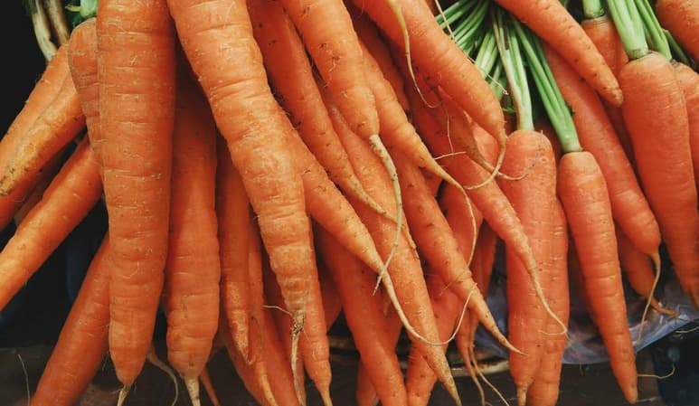Su composición rica en vitaminas K, C, B6, B1, B3, fibra, potasio, manganeso, molibdeno, fósforo, magnesio y folato hacen de la zanahoria una mina de oro para tratar y prevenir diferentes afecciones a la salud. (Especial)