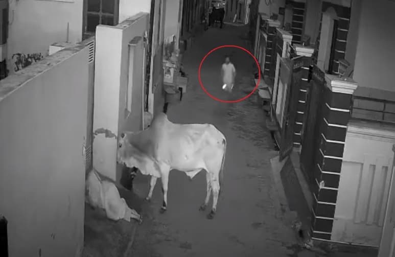 Cámaras de la zona captaron el momento del ataque del toro en video (CAPTURA)