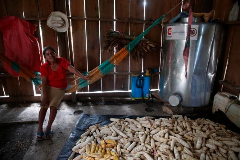 Guatemala perdió en 2018 la posibilidad de sumar un 16 % más a su Producto Interno Bruto (PIB) debido a la desnutrición y la obesidad, según un informe divulgado este miércoles por el Programa Mundial de Alimentos (PMA). (CORTESÍA)
