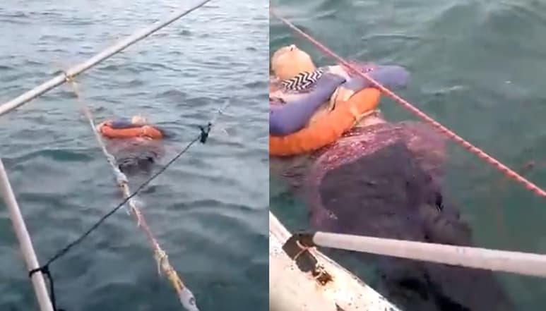 La mujer fue ubicada flotando en el mar a más de 3 kilómetros de la playa (CAPTURA)