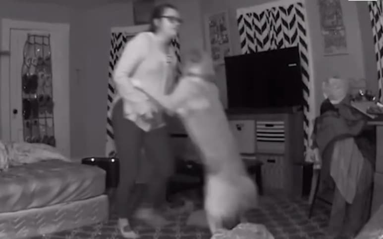 La mujer acababa de llegar de una noche de fiesta (CAPTURA)