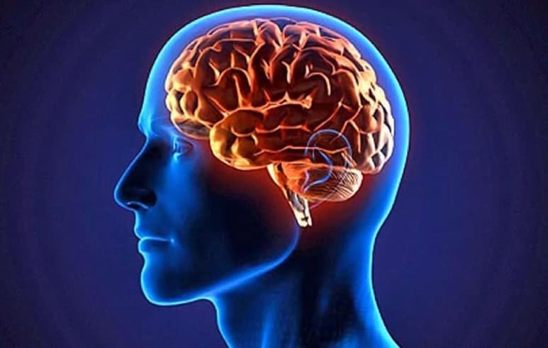 Cuando el cerebro se encuentra en una situación dinámica, busca transformar ésta en una 'fotografía' que le permita analizar todo lo que ocurre a su alrededor (ESPECIAL)  