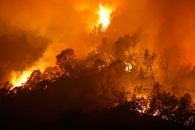 La asombrosa magnitud de los incendios forestales de California alcanzó el lunes otra marca histórica cuando un solo fuego rebasó un millón de acres arrasados (404,000 hectáreas). (ARCHIVO)