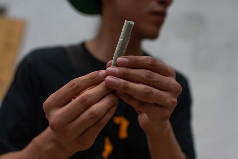 Las personas que consumen cannabis podrían necesitar más anestesia durante una operación quirúrgica, según un estudio que también señala que los consumidores de esta planta podrían tener además más dolores después de una intervención. (ARCHIVO)