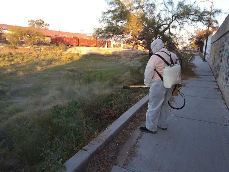Salud Municipal realiza la termonebulización en San Pedro. (EL SIGLO DE TORREÓN)