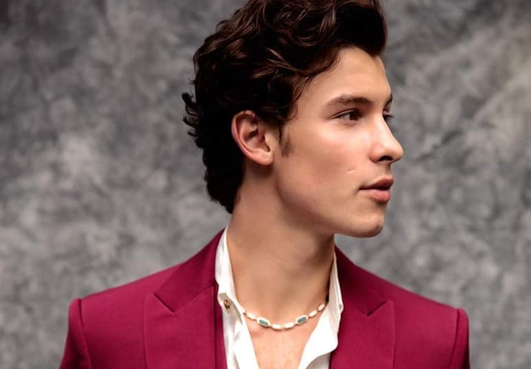 Shawn Mendes se une a la lista de cantantes cuyas vidas y carreras quedaron retratadas en un documental, luego de que el cantante anunciara su nueva colaboración con Netflix para el lanzamiento de In Wonder. (INSTAGRAM)