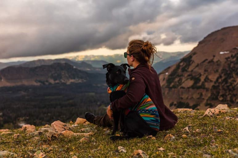 Es sabido que los animales pueden ganarse el corazón de las personas aún más que los seres humanos, y según un reciente estudio, actualmente las mujeres son capaces de crear un vínculo emocional más fuerte con su mascota que con una pareja. (ESPECIAL)