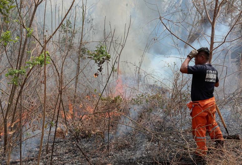 Los incendios en Bolivia no se detienen y ponen en riesgo reservas naturales, santuarios de animales e incluso poblaciones cercanas que piden más ayuda para frenar el avance del fuego, que ya consumió desde agosto al menos un millón y medio de hectáreas. (ARCHIVO)