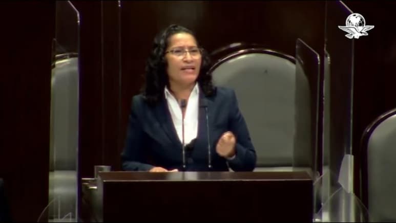 Desde la máxima tribuna del país, la diputada federal de Guerrero informó que ella litiga y para que se les otorguen juicios abreviados el ministerio público lo tiene que solicitar y fue ahí donde tuvo que dar la módica cantidad de 20 mil pesos. (ESPECIAL)