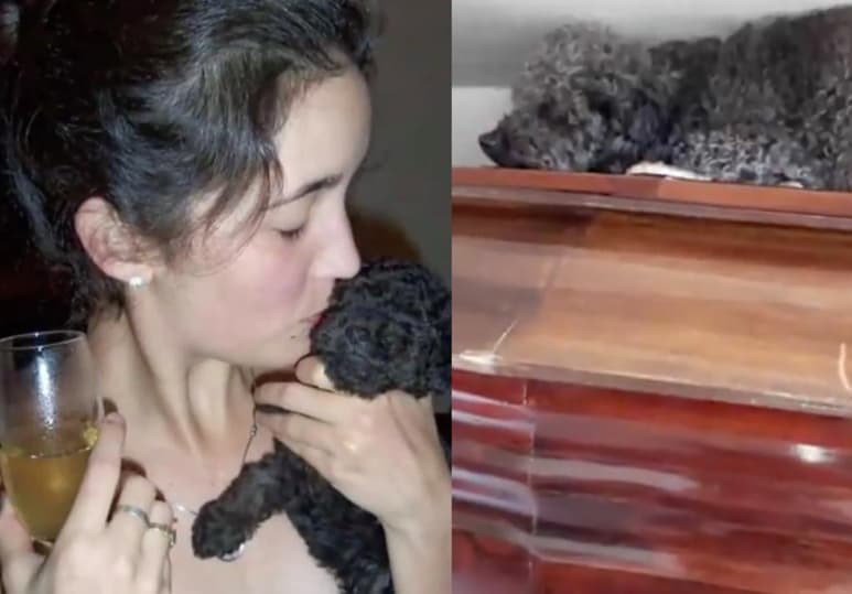 Hasta el momento su publicación ha acumulado más de 2.2 millones de reproducciones. (Especial)