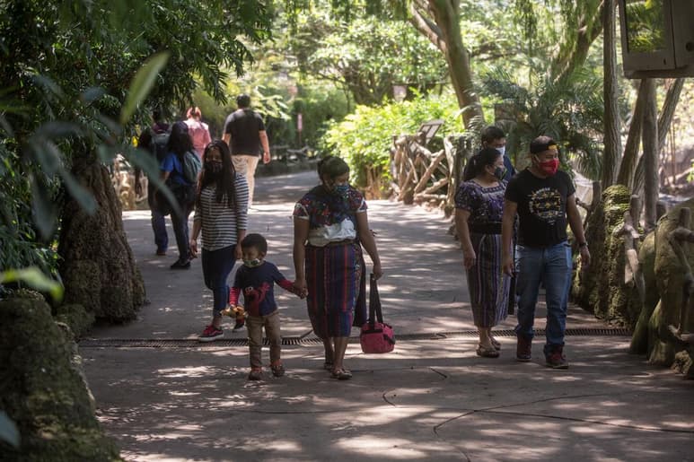 Guatemala sumó este miércoles 20 decesos y 714 nuevos contagios del coronavirus SARS-CoV-2 y llegó a 99,094 casos confirmados acumulados desde que hace seis meses, el 13 de marzo pasado, el Gobierno hiciera público el primer paciente positivo por coronavirus. (ARCHIVO)