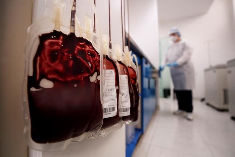 Los genes pueden determinar que algunas personas desarrollen formas graves de COVID-19. (EFE)
