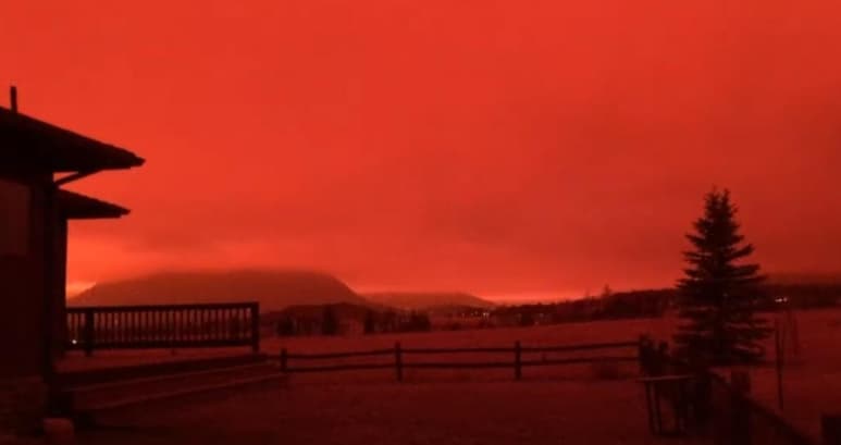 Sucesos similares ocurrieron en California durante este año (CAPTURA)