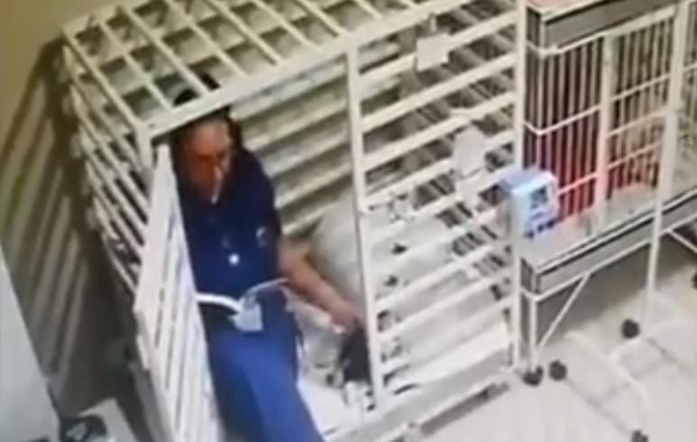 Las imágenes registradas en una veterinaria de Brasil, han conquistado a la red (CAPTURA)