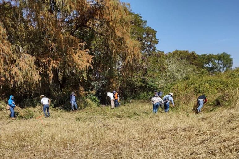 Las autoridades mexicanas informaron este miércoles el hallazgo de los restos de 59 personas enterradas en varias fosas clandestinas de Salvatierra, población del central estado mexicano de Guanajuato. (EFE)