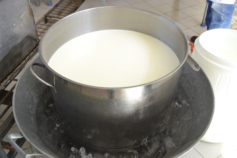 Entre enero y septiembre del año en curso, la producción de leche en Durango fue de 966 millones 40 mil litros, según reporta la Sader. (EL SIGLO DE TORREÓN)