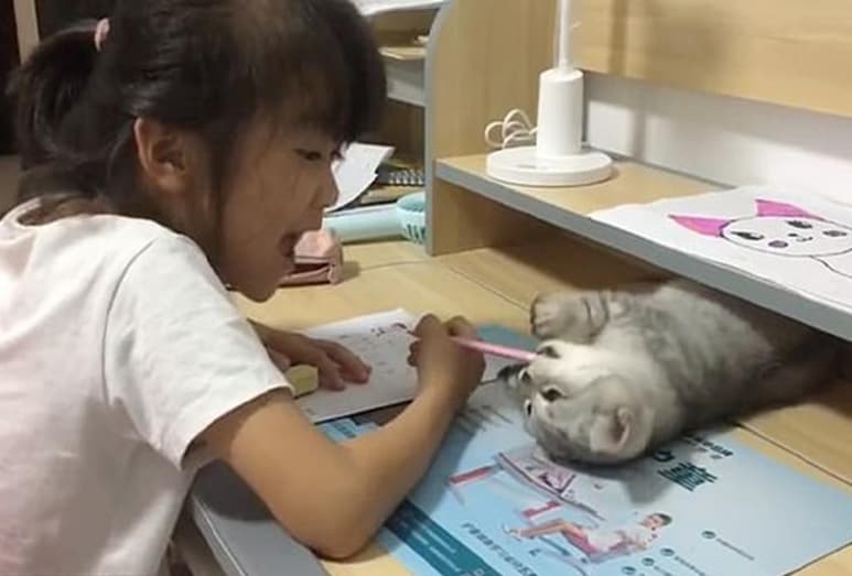 El tierno video es compartido en redes sociales. (INTERNET)