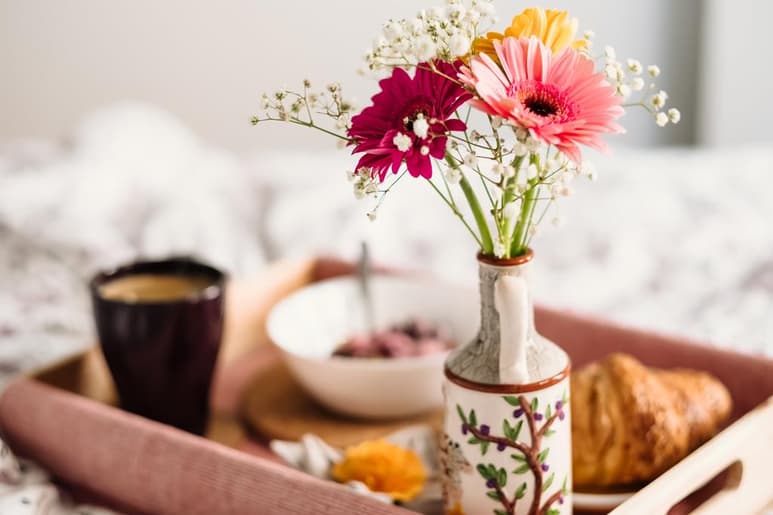 Las plantas pueden utilizarse de distintas formas, y una de ellas es como aromatizante o ambientadores que te ayudarán a evitar los productos químicos. (ESPECIAL)