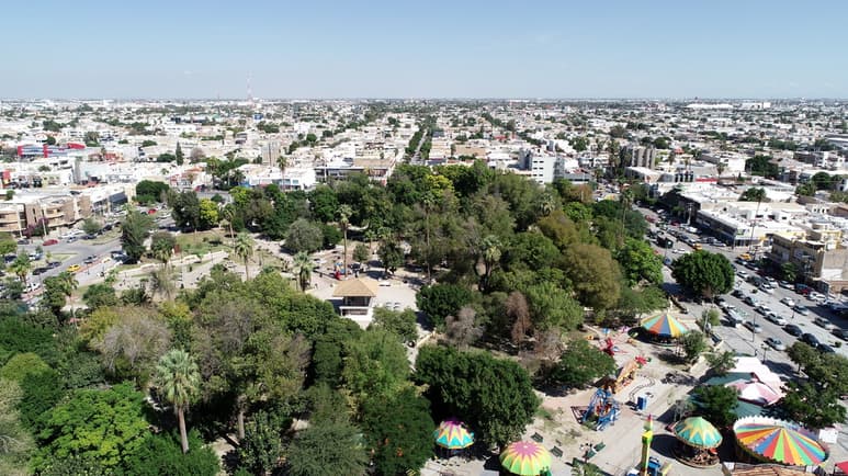 La OMS marca que las ciudades deben contar con al menos 9 metros cuadrados por habitante de áreas verdes para que las ciudades ofrezcan un ambiente sano.