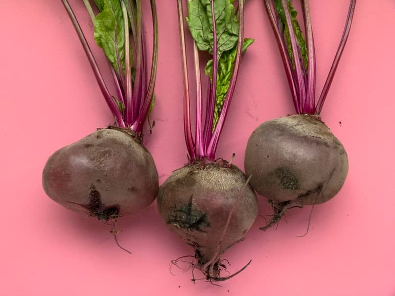 Con un nulo contenido de grasas, según la Secretaría de Agricultura, el betabel es una de las verduras que por su buen sabor y por sus grandes propiedades nutritivas forma parte de la dieta de los mexicanos.