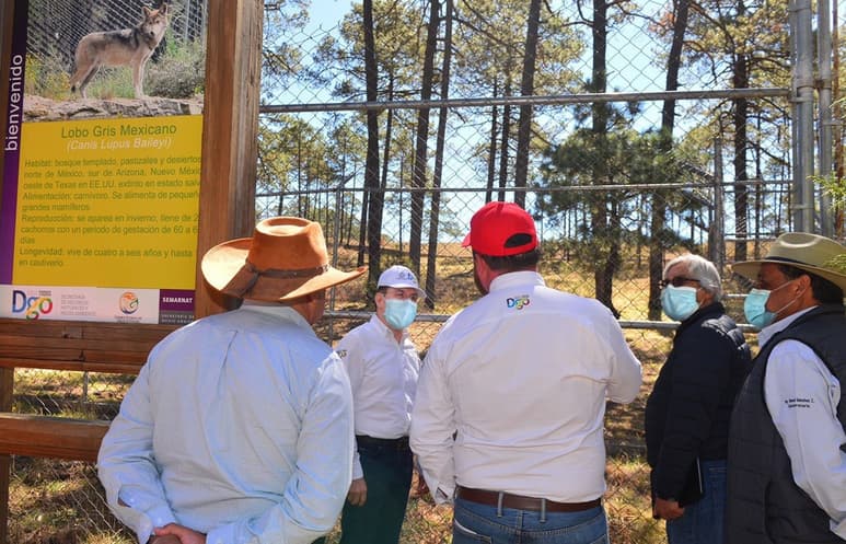Con la mejora de la infraestructura y de caminos forestales, se ha incrementado la productividad en el sector forestal, dijo Aispuro. (CORTESÍA)