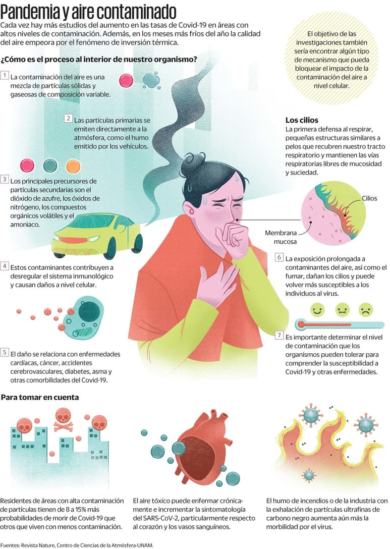Pareja explosiva: COVID-19 y partículas contaminantes