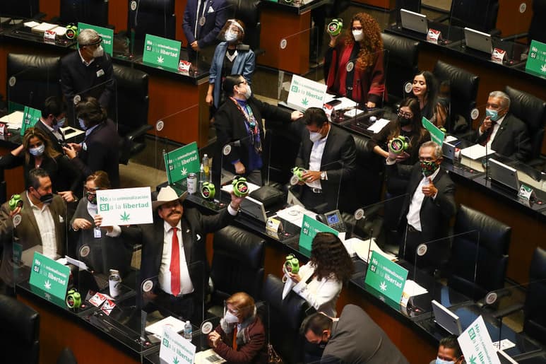 Aunque aún falta que la Cámara de Diputados discuta y apruebe la despenalización del uso lúdico o adulto de la marihuana, este jueves el dictamen avanzó en el Senado. (EL UNIVERSAL)
