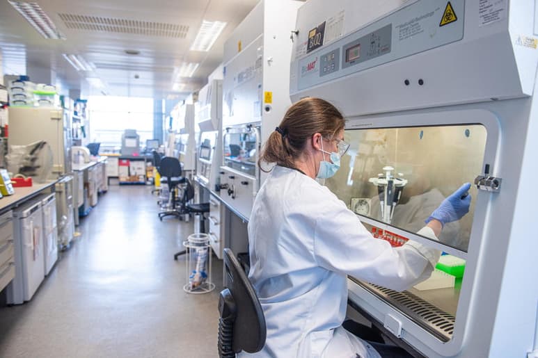 La vacuna desarrollada por la universidad inglesa de Oxford y la farmacéutica AstraZeneca previene la COVID-19 en un 70.4 % de los casos, indican resultados preliminares difundidos este lunes. (EFE)