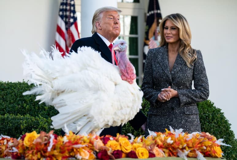 El presidente saliente de Estados Unidos, Donald Trump, que aún no ha reconocido su derrota en los comicios del pasado 3 de noviembre, cumplió este martes con la tradición de indultar un pavo con motivo de la festividad de Acción de Gracias. (ARCHIVO)