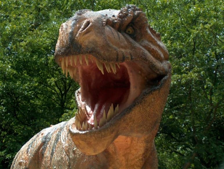 Con 42 metros desde el hocico hasta la cola y más de siete toneladas de peso, el Tiranosaurio Rex fue uno de los carnívoros más grandes de todos los tiempos. Y no fue el único: algunos de sus primos menos conocidos podían tener casi el mismo tamaño pero ¿cómo (y cuándo) llegaron a ser tan grandes? (ESPECIAL)