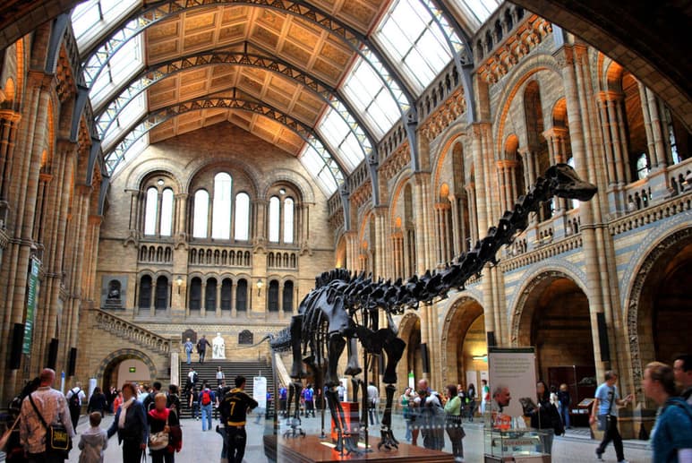 La alteración de las pautas de sueño es una experiencia aparentemente común durante la pandemia y el motivo de un innovador proyecto del Museo de Londres, que desde este jueves recoge testimonios de sueños y pesadillas vividos por los ciudadanos en el confinamiento. (ESPECIAL)