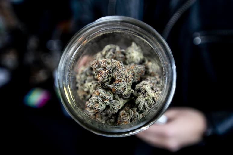 La Cámara de Representantes aprobó el viernes una propuesta de ley para despenalizar y gravar la marihuana al nivel federal, revirtiendo lo que partidarios dicen es una fallida política de criminalización del uso de la marihuana y dando pasos para resolver disparidades raciales en las leyes federales de drogas. (ARCHIVO) 