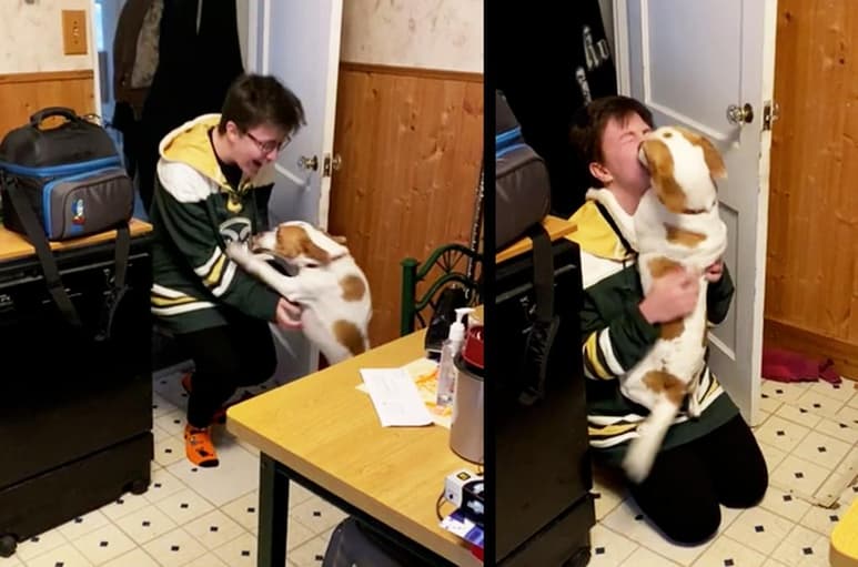 El chico abre la puerta y su perro se abalanza calurosamente sobre él. (INTERNET)
