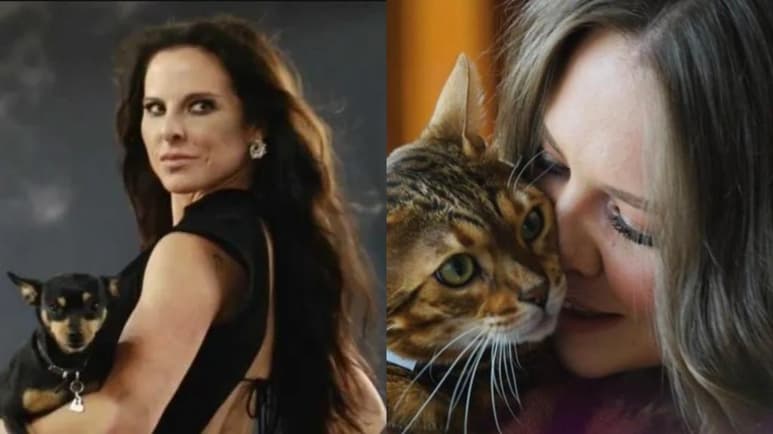 Kate del Castillo, Jesse & Joy y George López forman parte de cerca de una veintena de artistas y celebridades que celebrarán este sábado los 40 años de la lucha contra el abuso de los animales de la organización Gente para el Tratamiento Ético de los Animales (PETA, en inglés). (ESPECIAL)