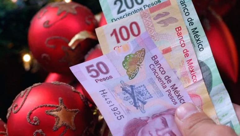 Este miércoles, el Consejo de Representantes de la Comisión Nacional de Salarios Mínimos (Conasami) acordó, sin unanimidad, el aumento del salario mínimo de 123.22 a 141.7 pesos diarios a partir del 1 de enero de 2021. (ESPECIAL)