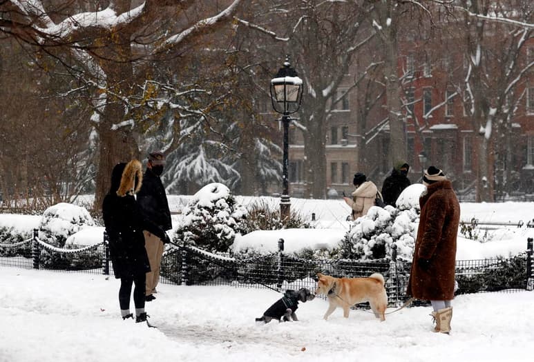 En la Gran Manzana cayeron alrededor de 25 centímetros de nieve, más que en todo el invierno pasado, y las precipitaciones continuaban aún en la mañana del jueves, aunque según los meteorólogos lo peor de la tormenta ya pasó.
(EFE)
