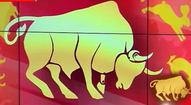 Se va la rata, y en su lugar este 2021 llega el Búfalo de Metal en el Horóscopo Chino. (ESPECIAL)