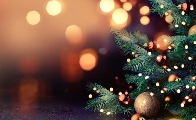 La Nochebuena que se celebra el día 24 de diciembre da paso a la Navidad que conmemora el nacimiento de Jesús (ESPECIAL)