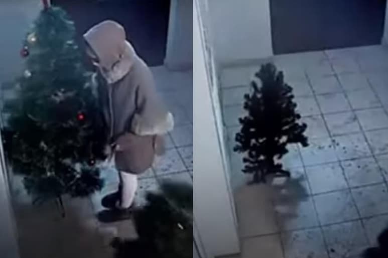Encapuchadas, las mujeres ingresaron al edificio departamental y se llevaron el pinito que adornaba la entrada (CAPTURA) 