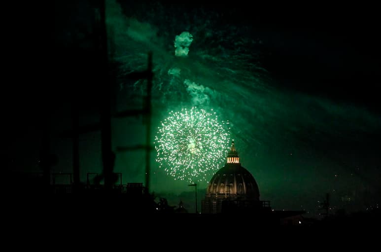La causa de las muertes no estaba clara, pero la Organización Internacional para la Protección de los Animales dijo que parecía estar relacionada con una exhibición particularmente ruidosa de petardos y fuegos artificiales. (EFE)