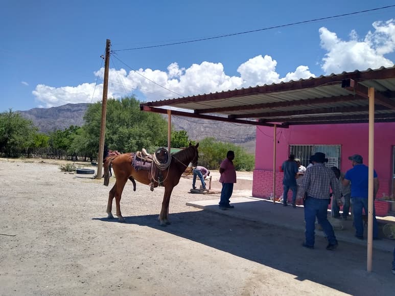 Habitantes del Valle de Acatita piden que se regularice el servicio de transporte, pues batallan mucho. (EL SIGLO DE TORREÓN)