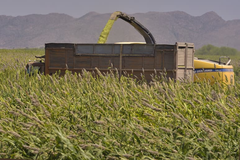 Ciclo agrícola en la región Lagunera contará con volumen autorizado de 900 Mm3 de agua. (EL SIGLO DE TORREÓN)