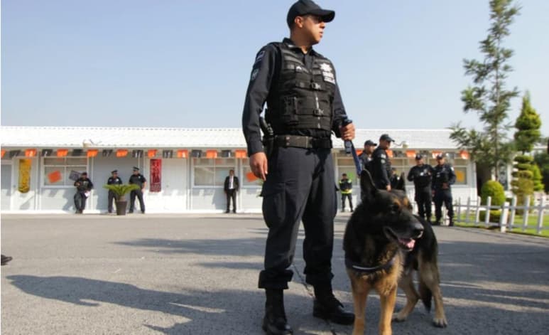Elementos policíacos de la compañía Canina K9 de la Secretaría de Seguridad Ciudadana de Puebla llevaron a cabo 241 acciones y el aseguramiento de armas de fuego y drogas. (ESPECIAL)