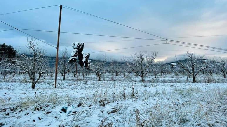 El frente frío 26 ocasionará un descenso drástico de las temperaturas con heladas para Coahuila.